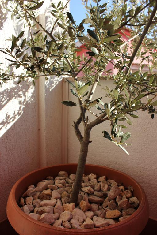 Apartman Luburic Pinezići 外观 照片